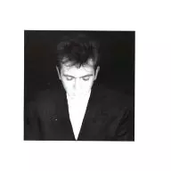 Pete Gabriel / SHAKING THE TREE [Import Edition]