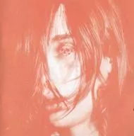 DEERHUNTER / MICROCASTLE WEIRD ERA CONTINUED