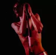 IGGY AND THE STOOGES / RAW POWER [import edition]