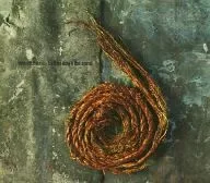 nine inch nails/further down the spiral[進口盤]