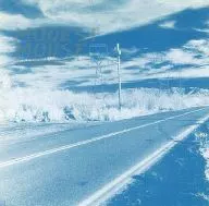 MOST MOUSE / This is A Long Drive For Someone With Nothing To Think About [import version]