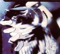 PIANO MAGIC/escritores sem casas