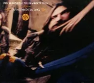 CHRIS ROBINSON & THE NEW EARTH MUD / THIS MAGNIFICENT DISTANCE [import edition]