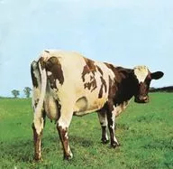 PINK FLOYD/ATOM HEART地球冒險[進口盤]