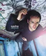 sasha / involver [import board]