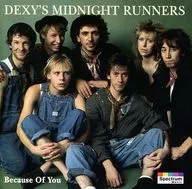 DEXY's MIDNIGHT RUNNERS/BECAUSE OF YOU [versión importada]