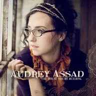 AUDREY ASSAD/THE HOUSE YOURE BUILDING[進口盤]