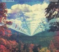 TAME IMPALA / INNERSPEAKER[輸入盤]