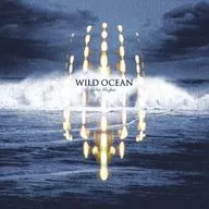 John Hughes / Wild Ocean [Importação]