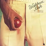 Wishbone Ash/There 's The Rub [Importação]