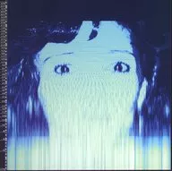 The Avalanches / We Will Always Love You [versión importada]