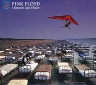 Pink Floyd / A Momentary Lapse of Reason (Remixed & Updated 2019) [Import Edition]