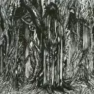 SUNN O)) / BLACK ONE [import edition]