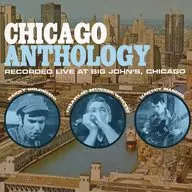 VARIOUS ARTISTS / CHICAGO ANTHOLOGY [import edition]