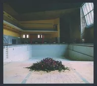 LYR / Call in the Crash Team [import edition]