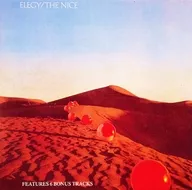 THE NICE/ELEGY[进口盘]
