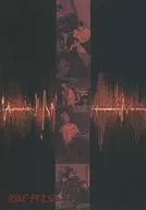 TREASURE / LOVE PULSE[輸入盤]