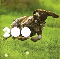 VARIOUS ARTISTS / 200 [Import Edition]