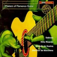 VARIOUS ARTISTS / MASTERS OF FLAMENCO GUITAR[輸入盤]