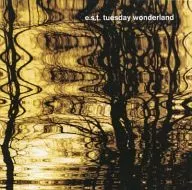Esbjorn Svensson Trio/Tuesday Wonderland [Importação]