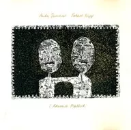 Andy Summers/Robert Fripp/I Advance Masked[进口盘]