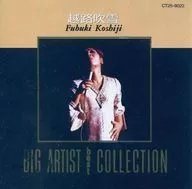 越路吹雪 / BIG ARTIST BEST COLLECTION