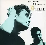 織田哲郎/WILDLIFE