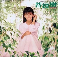 Yōko Minamino / árbol de Budhi (obsoleto)