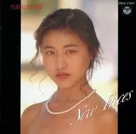 國實 Material/New Faces (obsoleto)