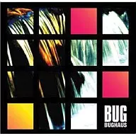 BUG /BUGHAUS