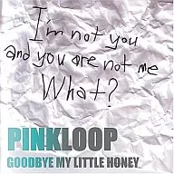 PINKLOOP/GOODBYE MY LITTLE HONEY