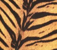 THE HIGH-LOWS / Tigermobile[通常盤]