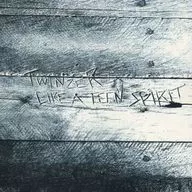 TWINZER/LIKE A TEEN SPIRIT(廢盤)
