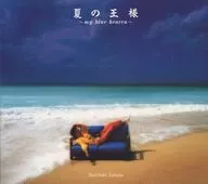 Toshihiko Tahara / The King of Summer ~ MYBLU