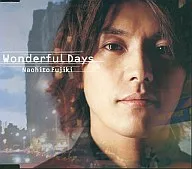 藤木直人/Wonderful Days