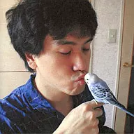 Mamoru Tanabe / Cassette & Gusset