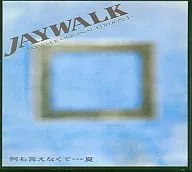 JAYWALK / I can't say anything. Summer JAYWALK ORIGINAL EDITION 1