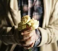 Kiyoharu / Carnation