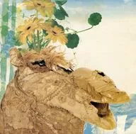 WATER WATER CAMEL/很适合花