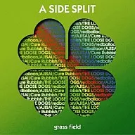 A SIDE SPLIT/A SIDE SPLIT Vol.1～grass field～