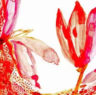 Dew / Flower Illustrated Volume separado