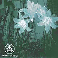 Sasa (flor de flor) / Flor de flor de flor de flor de flor de flor de flor de flor de flor de