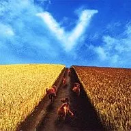 Zona de Segurança/Barreira - Com um Coração Justo - Campo
