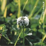 Kazeo de Meguru + Yuko aoki