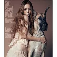 安室奈美惠/Sit！Stay！Wait！Down！/Love Story[附DVD]