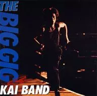 甲斐バンド / THE BIG GIG