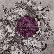 SIRMO STAD / in / split