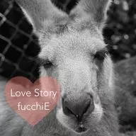 fucchiE / Love Story