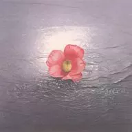 Yamazaki Hako / Human Magi