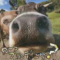 カーフブランディング?(状態：歌詞カード欠け)